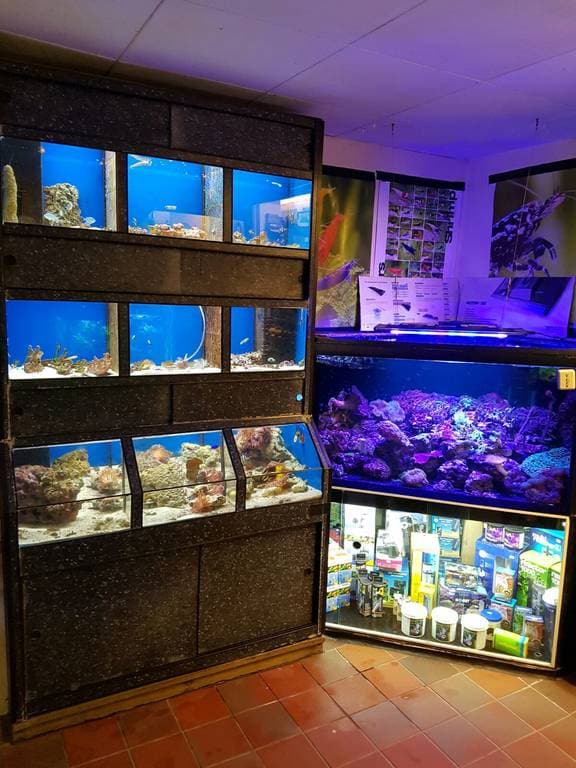 Hola AquariumWarenhuis!