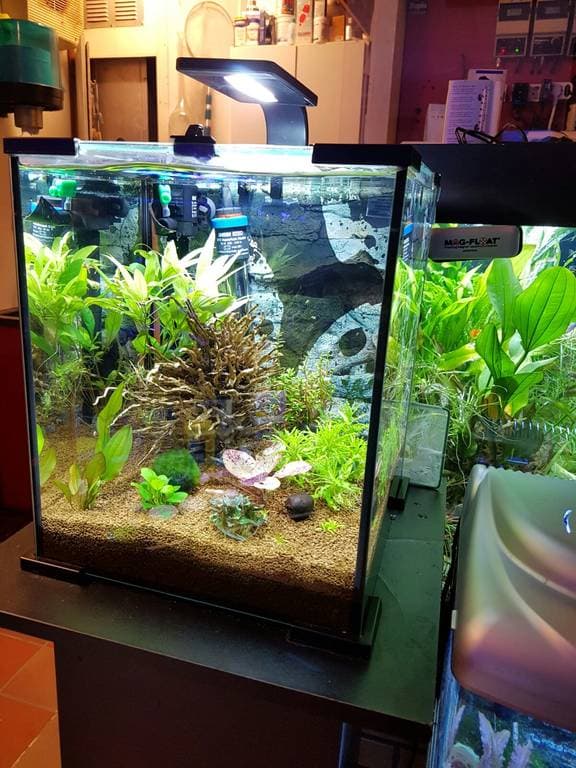 Hola AquariumWarenhuis!