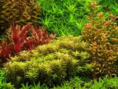 Hola Team AquariumWarenhuis!